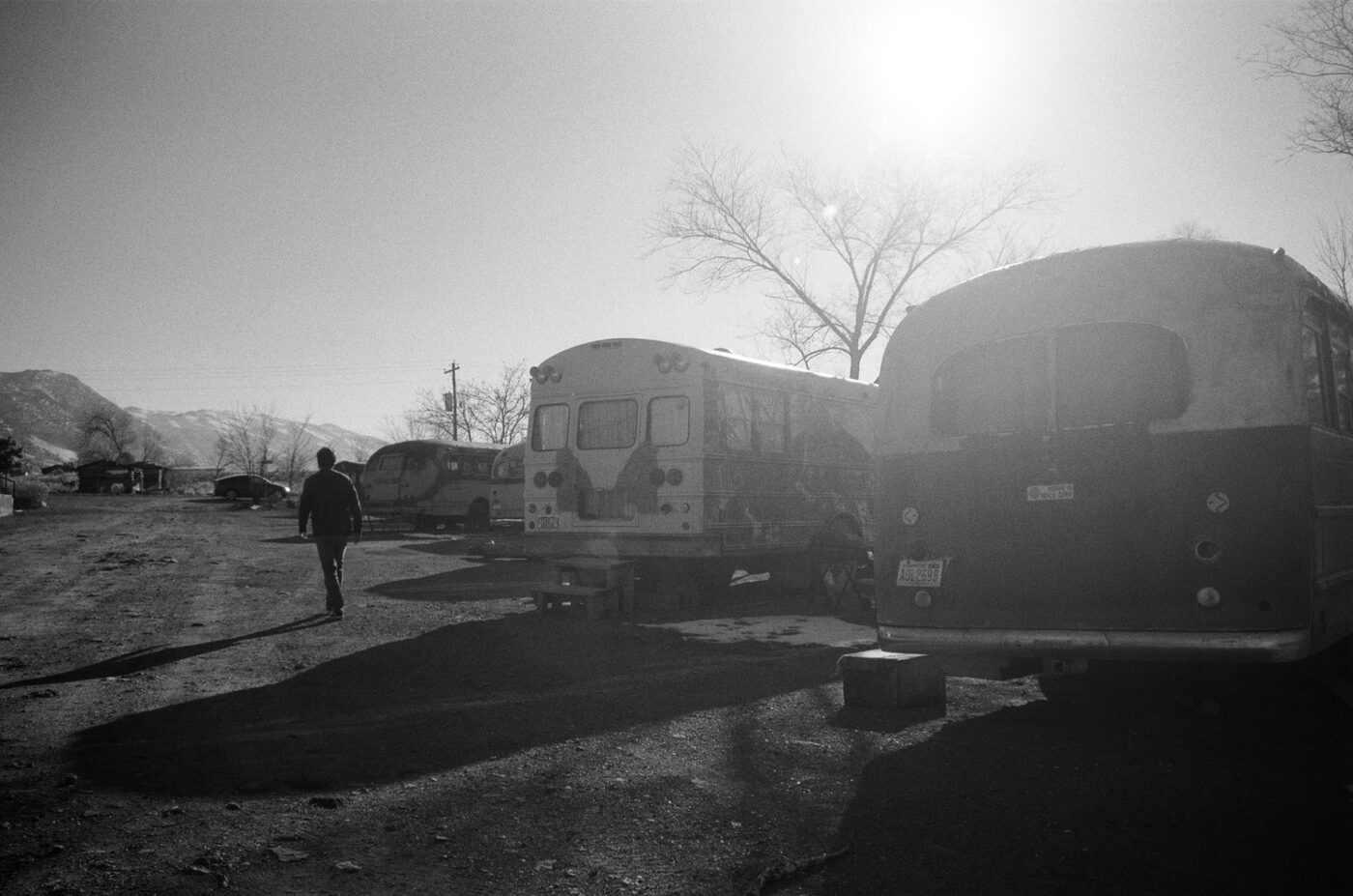 Row of old buses backlit by morning sun
