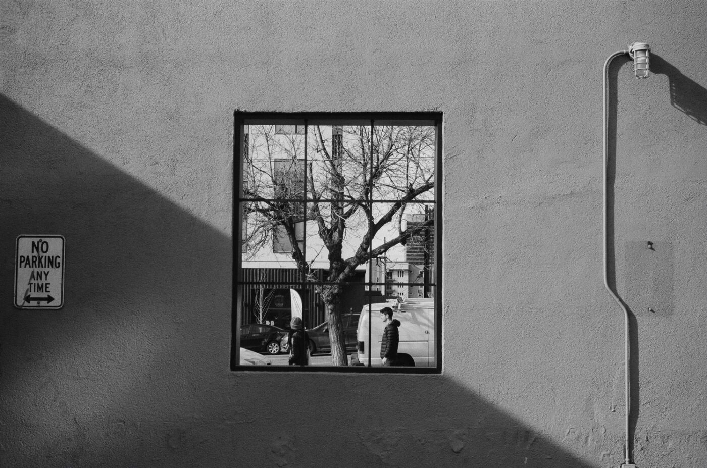Window reflection of a bare tree and street